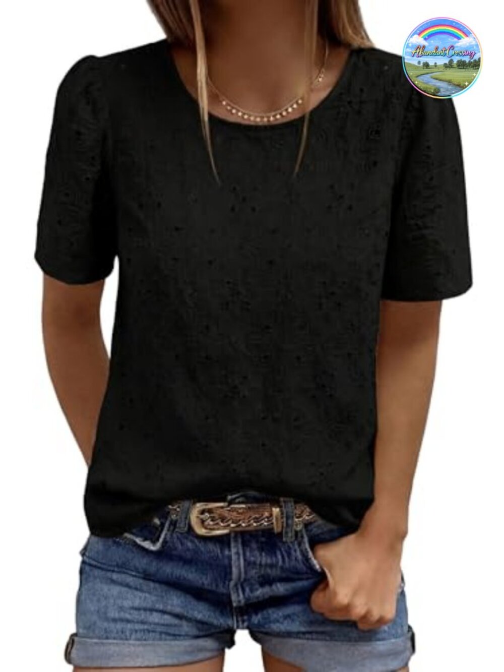 Embroidered Eyelet Puff Sleeve Blouse Crew Neck Office Top